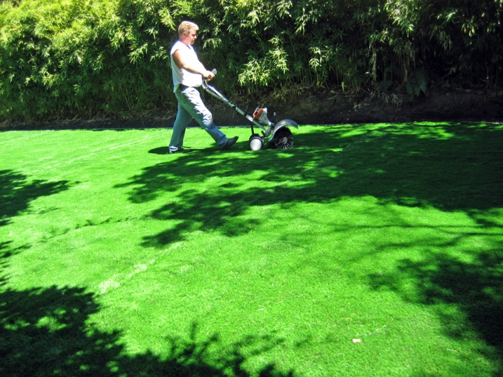 Fake Turf Glendale Heights Illinois Landscape