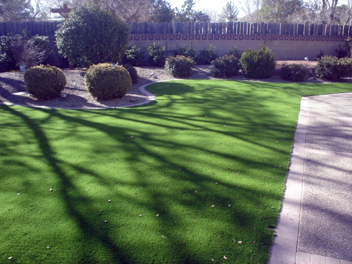 Fake Turf Indian Head Park Illinois Lawn Front Yard