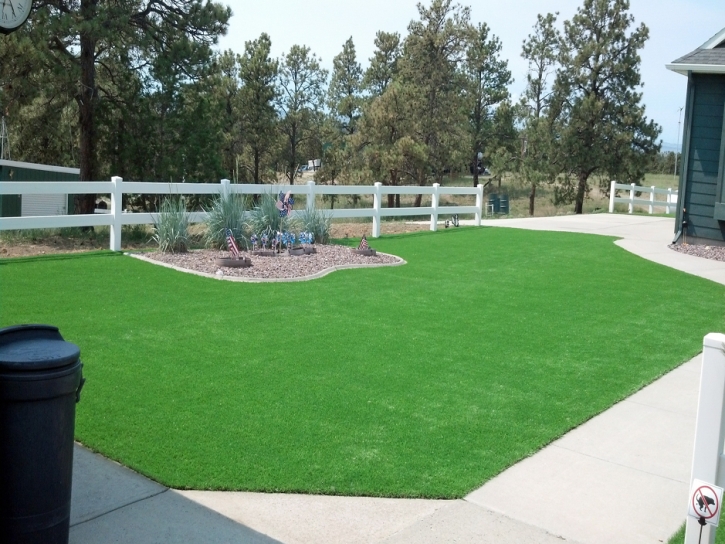 Fake Turf Maywood Illinois Landscape Front Yard