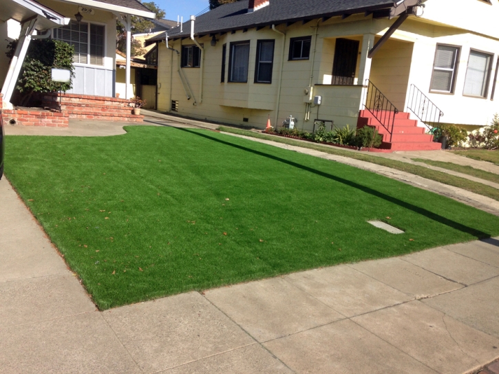 Fake Turf Mokena Illinois Lawn Back Yard