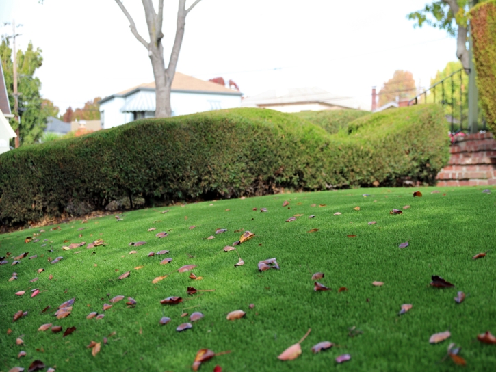 Fake Turf Naperville Illinois Landscape Front Yard