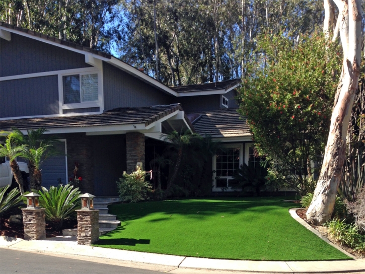 Fake Turf Ogden Dunes Indiana Lawn Back Yard