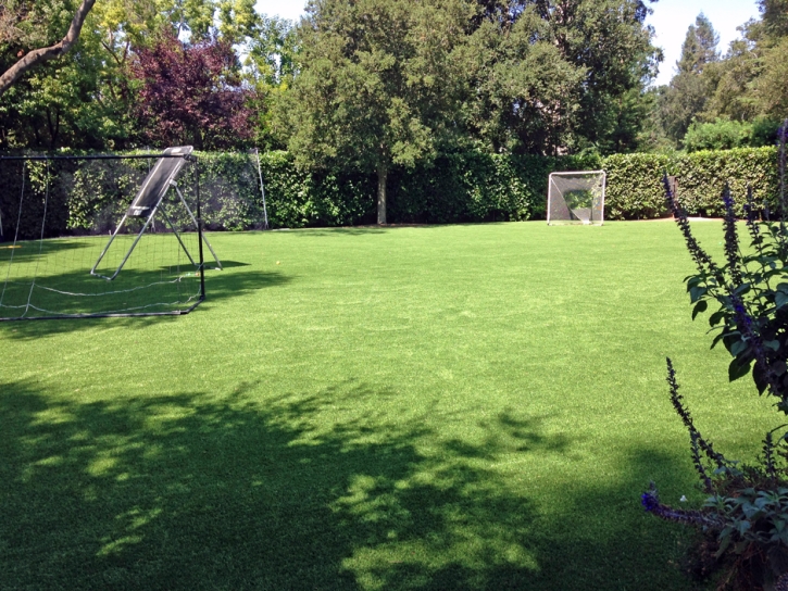 Fake Turf Sports Fields Skokie Illinois Back Yard