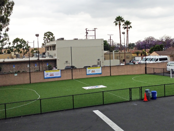 Fake Turf Stadium Burbank Illinois Commercial Landscape