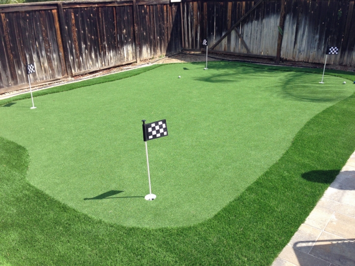 Golf Putting Greens Broadview Illinois Fake Grass Dog Kennels