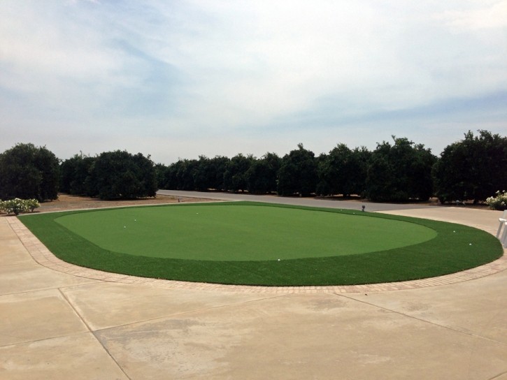 Golf Putting Greens Darien Illinois Synthetic Grass Back