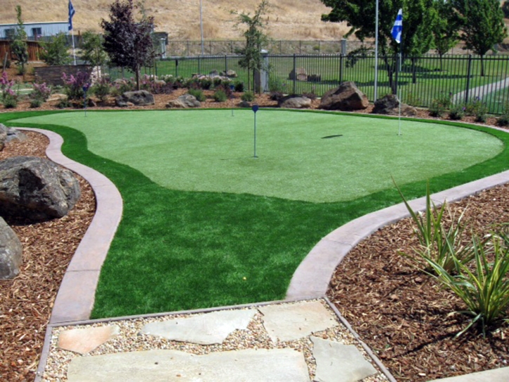 Golf Putting Greens Des Plaines Illinois Synthetic Turf Commercial