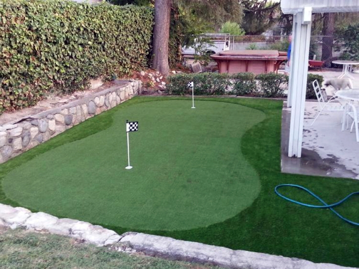 Golf Putting Greens Goodings Grove Illinois Synthetic Turf