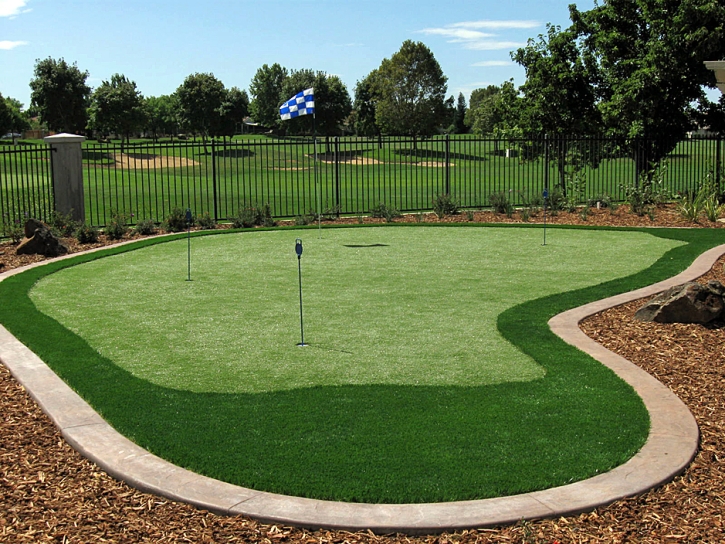 Golf Putting Greens Oak Forest Illinois Artificial Grass