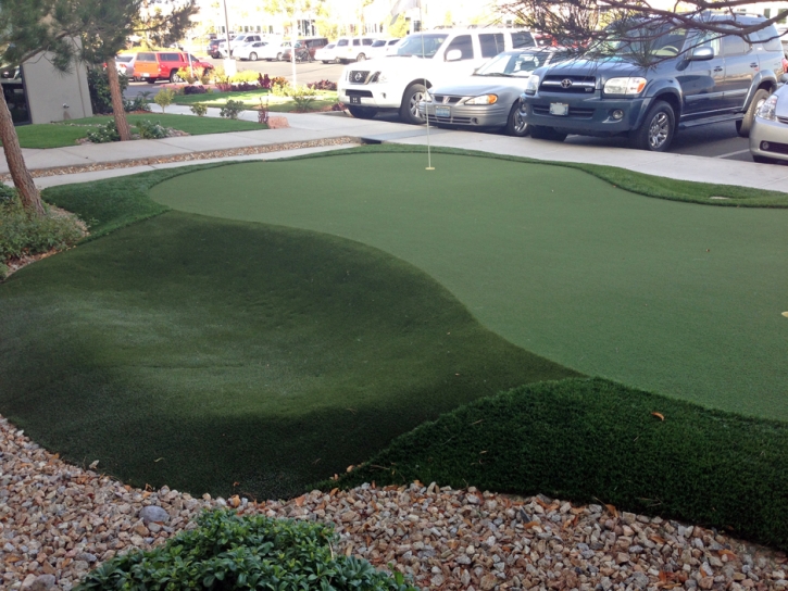 Golf Putting Greens Olympia Fields Illinois Synthetic Turf