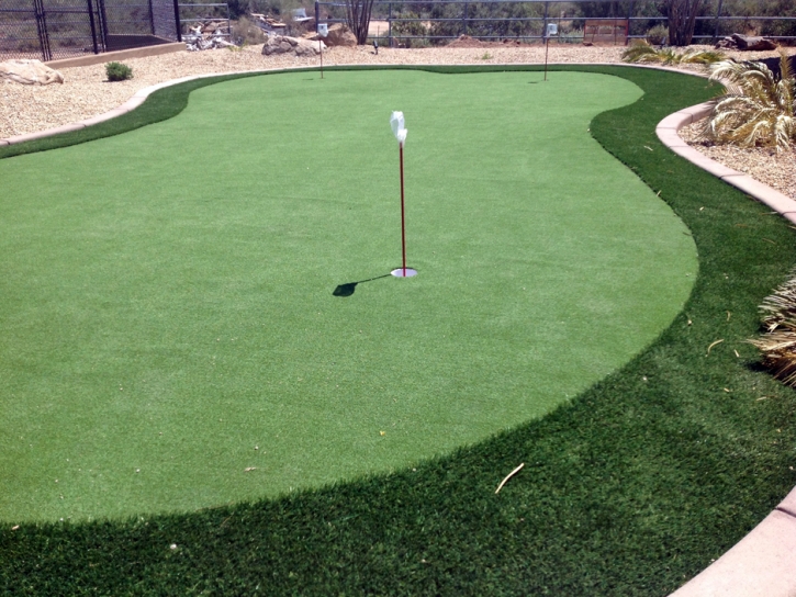 Golf Putting Greens Thornton Illinois Synthetic Turf Back