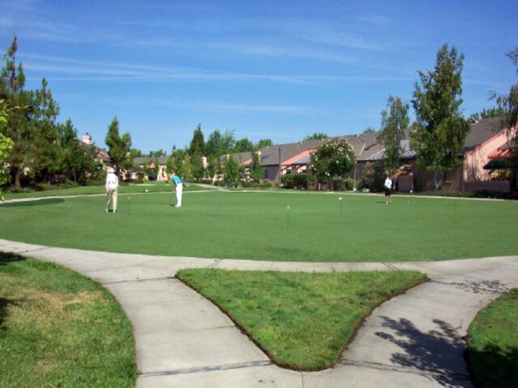 Golf Putting Greens University Park Illinois Artificial Grass