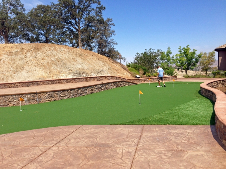 Golf Putting Greens Westmont Illinois Artificial Grass Back