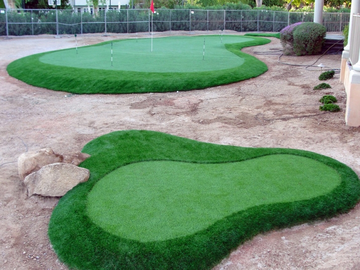 Golf Putting Greens Wilmette Illinois Fake Grass Back Yard