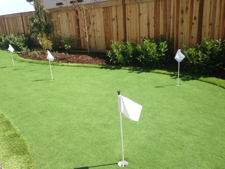 Golf Putting Greens Winnetka Illinois Fake Grass Back Yard