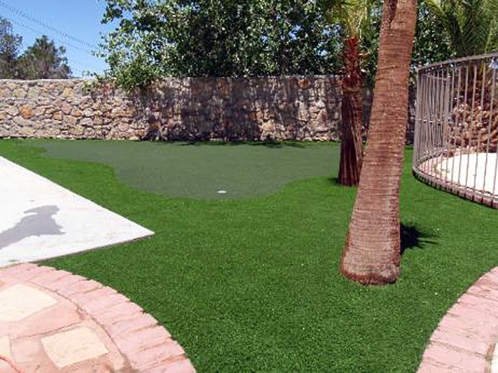 Putting Greens Buffalo Grove Illinois Fake Grass Front Yard