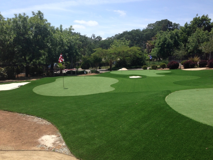 Putting Greens Evanston Illinois Artificial Turf Back Yard