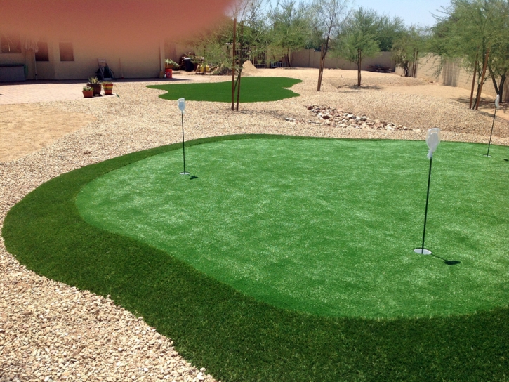 Putting Greens Glencoe Illinois Fake Turf Front Yard