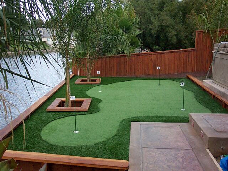 Putting Greens Oak Forest Illinois Fake Grass Back Yard