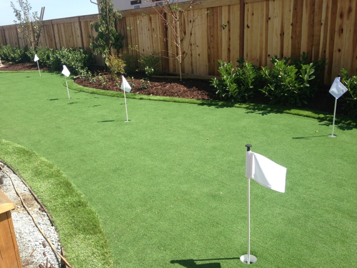 Putting Greens Skokie Illinois Artificial Turf Front Yard