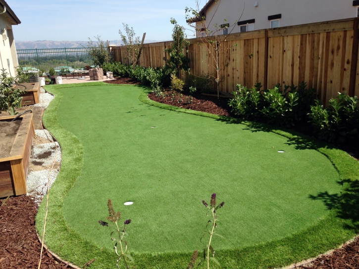 Putting Greens University Park Illinois Fake Grass