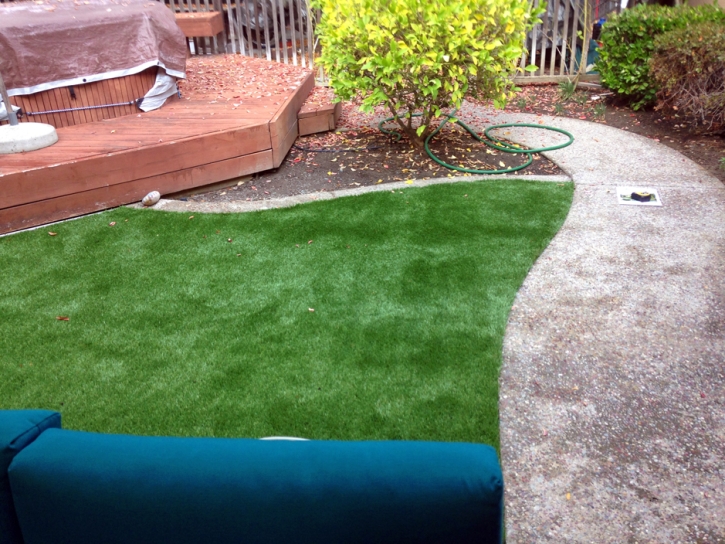 Synthetic Grass Bannockburn Illinois Landscape Front Yard