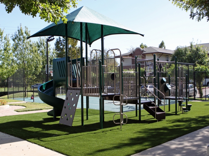 Synthetic Grass Bellwood Illinois Kindergarten Front Yard