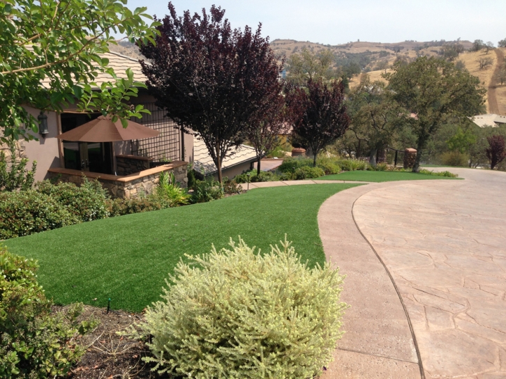 Synthetic Grass Berkeley Illinois Lawn Front Yard