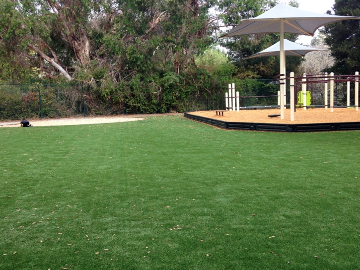 Synthetic Grass Calumet City Illinois Childcare Facilities