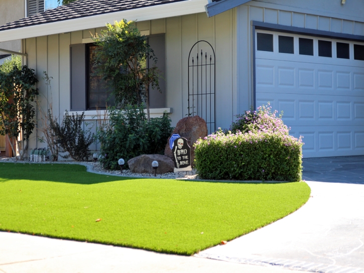 Synthetic Grass Country Club Hills Illinois Lawn Back Yard