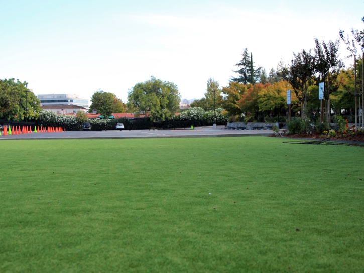 Synthetic Grass Country Club Hills Illinois School Back