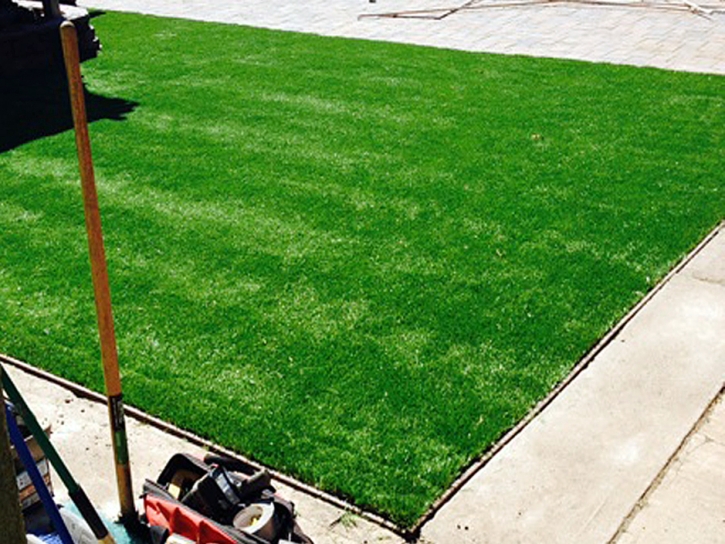 Synthetic Grass Des Plaines Illinois Lawn Back Yard