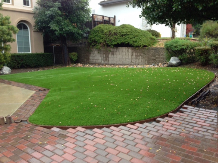 Synthetic Grass Dyer Indiana Lawn Front Yard