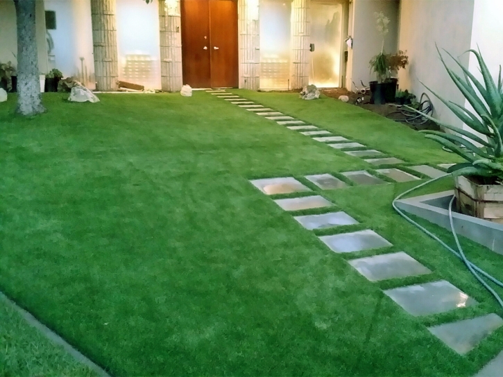 Synthetic Grass East Hazel Crest Illinois Lawn Front Yard