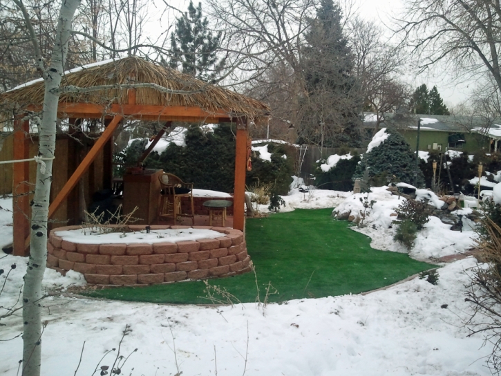 Synthetic Grass Elmhurst Illinois Lawn Front Yard