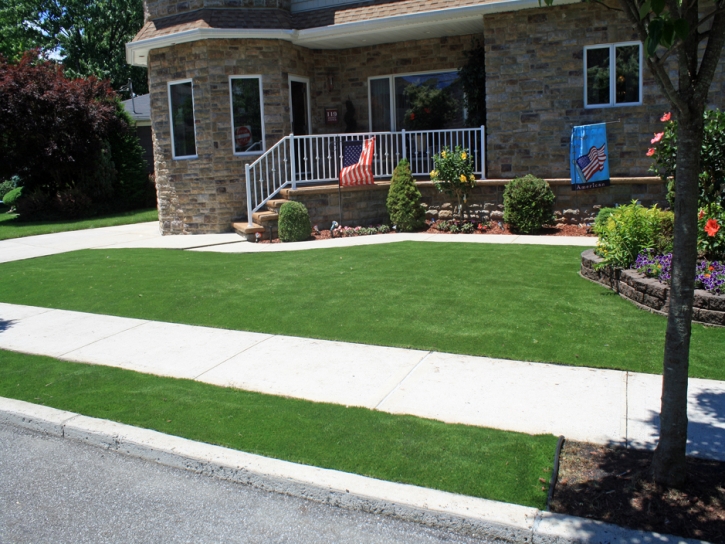 Synthetic Grass Evergreen Park Illinois Landscape