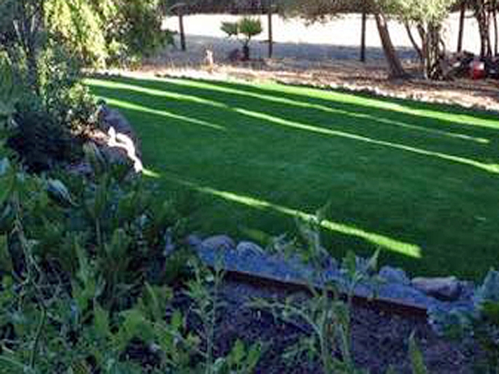 Synthetic Grass Glenview Illinois Landscape Front Yard