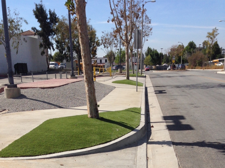 Synthetic Grass Griffith Indiana Landscape Front Yard