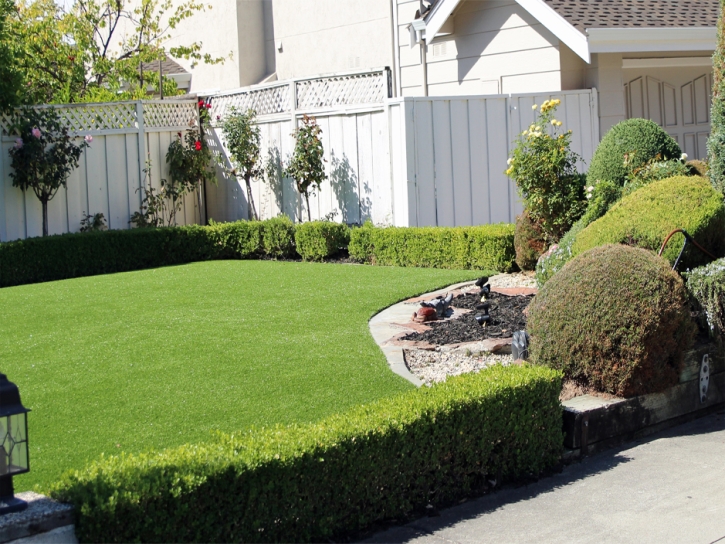 Synthetic Grass Highwood Illinois Landscape Back Yard