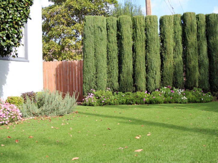 Synthetic Grass Lockport Illinois Landscape Front Yard