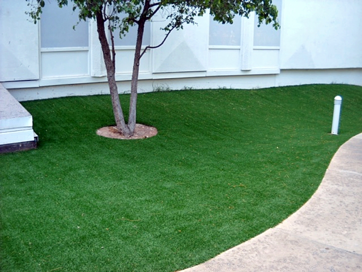 Synthetic Grass Lynwood Illinois Lawn