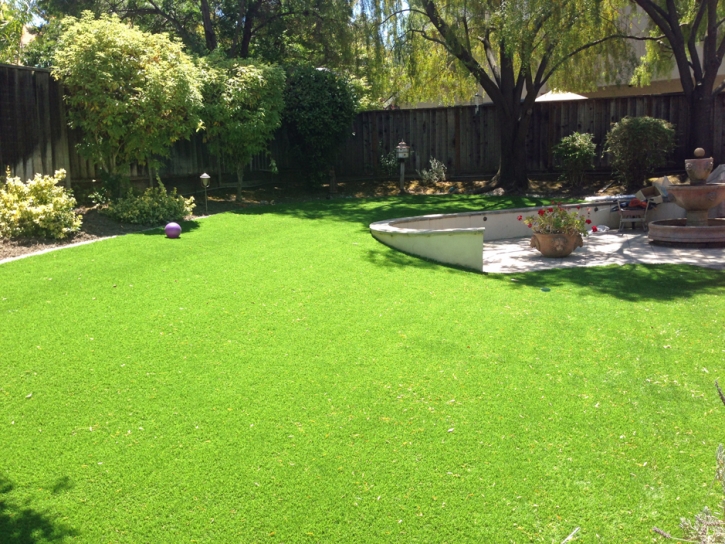 Synthetic Grass Melrose Park Illinois Landscape Front Yard