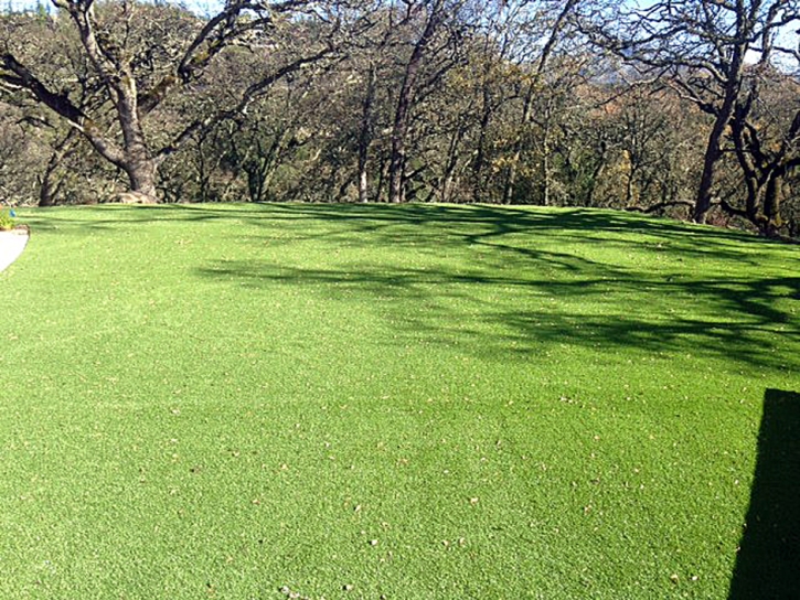 Synthetic Grass Monee Illinois Landscape