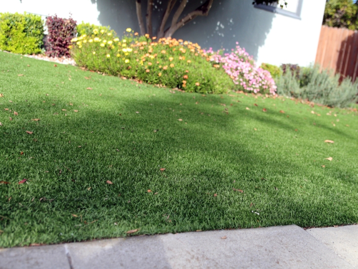 Synthetic Grass Naperville Illinois Lawn Back Yard