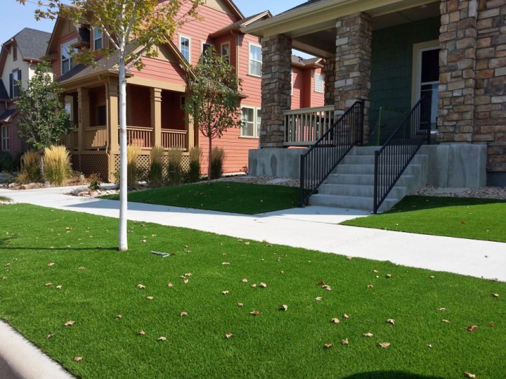 Synthetic Grass North Riverside Illinois Landscape Front