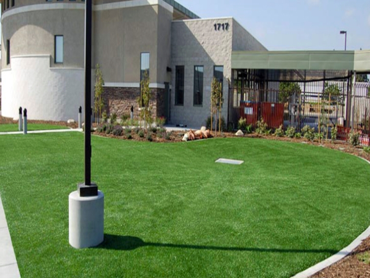 Synthetic Grass Northfield Illinois Landscape Commercial