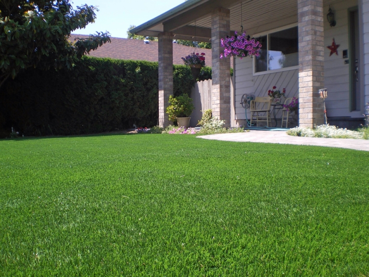 Synthetic Grass Oak Brook Illinois Landscape Back Yard