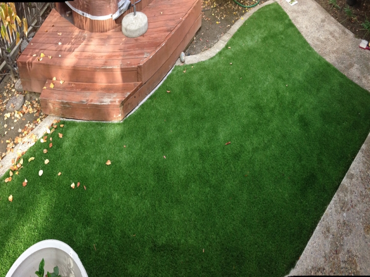 Synthetic Grass Palatine Illinois Landscape Front Yard