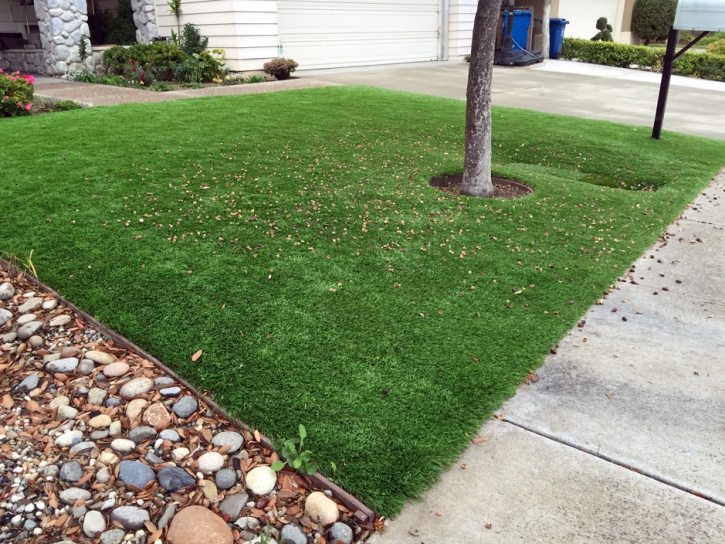 Synthetic Grass Schererville Indiana Landscape Back Yard