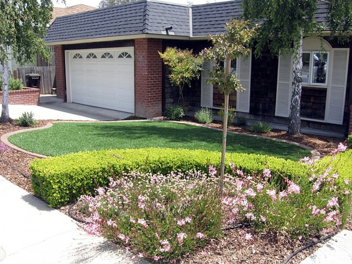 Synthetic Grass Streamwood Illinois Landscape Back Yard